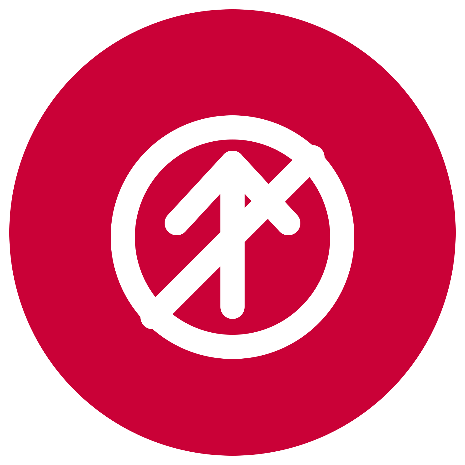 Icon: Unfähigkeit zum Zehenstand (Achillessehne)
