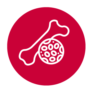 Die Grafik zeigt einen der Gründe an, wann eine Knochendichtemessung empfehlenswert ist: bei familiärer Osteoporose-Vorgeschichte